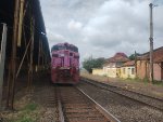 RUMO 608